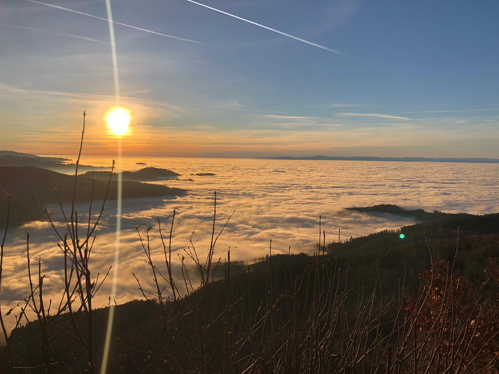 Blick vom Kandel